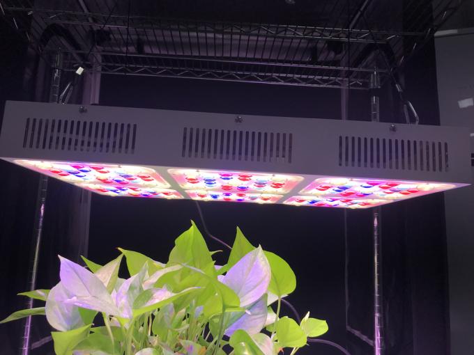 UV + IR LED Grow Lights For Garden / Bonsai