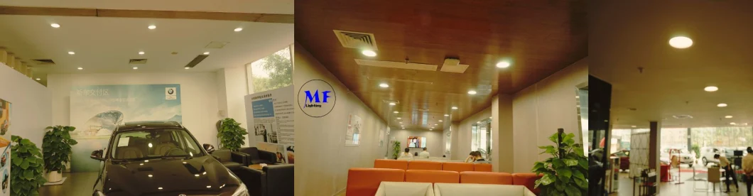 Recessed Downlight Interior Lighting LED Ceiling Grill Down Light With Reflector 7W 12W 20W 2inch 3inch 4inch IP40 0