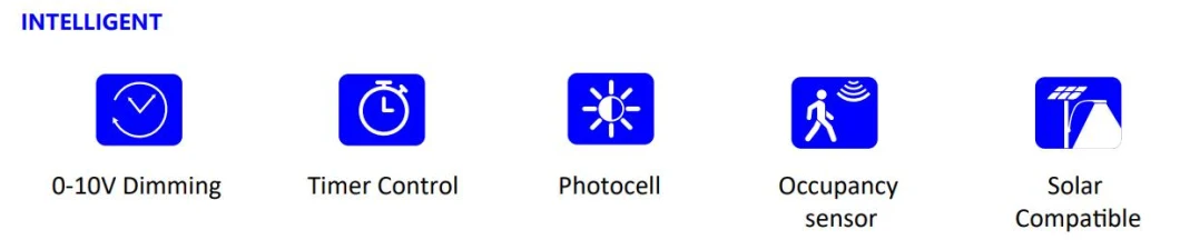 LED Flood Street Light With Support Smart Control 100W 0-10V Dim Die Casting Aluminum Waterproof IP65 175lm/W 9