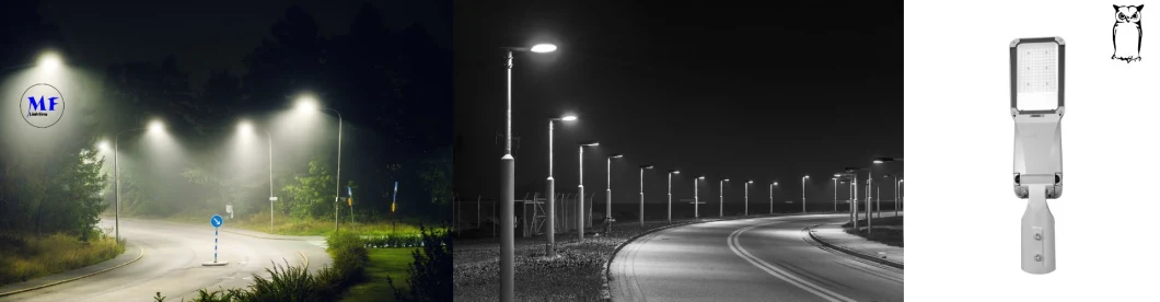 LED Flood Street Light With Support Smart Control 100W 0-10V Dim Die Casting Aluminum Waterproof IP65 175lm/W 18