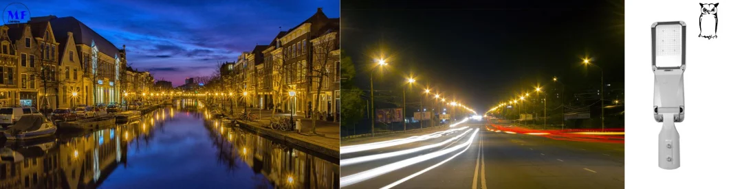 LED Flood Street Light With Support Smart Control 100W 0-10V Dim Die Casting Aluminum Waterproof IP65 175lm/W 19