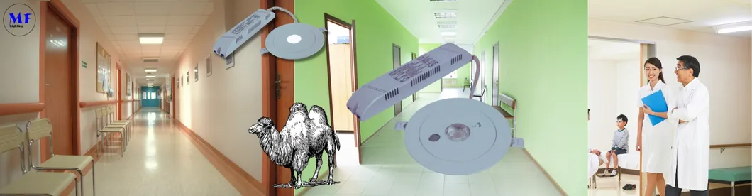 LED Emergency Spot Down Light  ABS PC IP43 3W Back up Lithium Battery for School Hospital Subway Train Stations 0