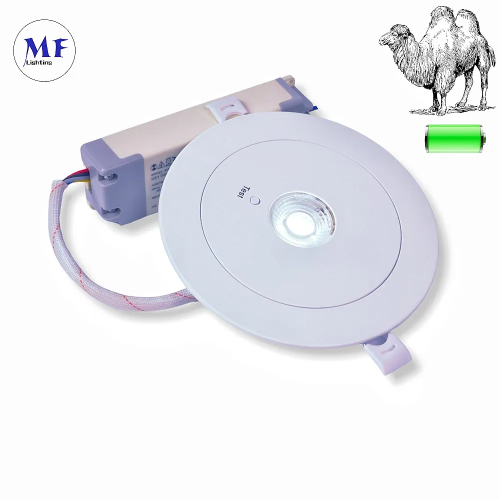 LED Emergency Spot Down Light  ABS PC IP43 3W Back up Lithium Battery for School Hospital Subway Train Stations 11