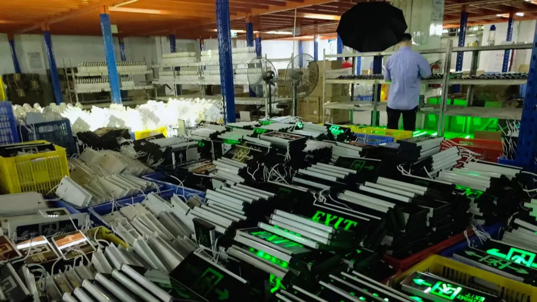 LED Emergency Spot Down Light  ABS PC IP43 3W Back up Lithium Battery for School Hospital Subway Train Stations 15