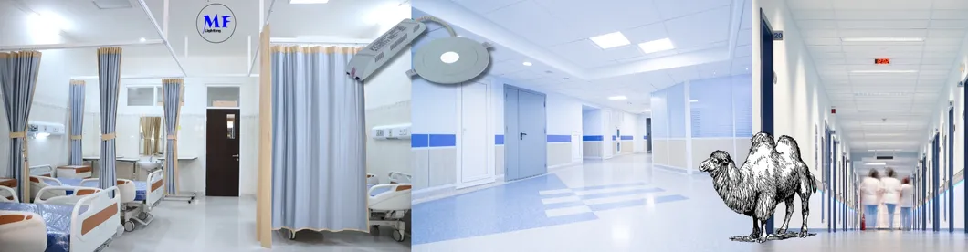 LED Emergency Spot Down Light  ABS PC IP43 3W Back up Lithium Battery for School Hospital Subway Train Stations 17