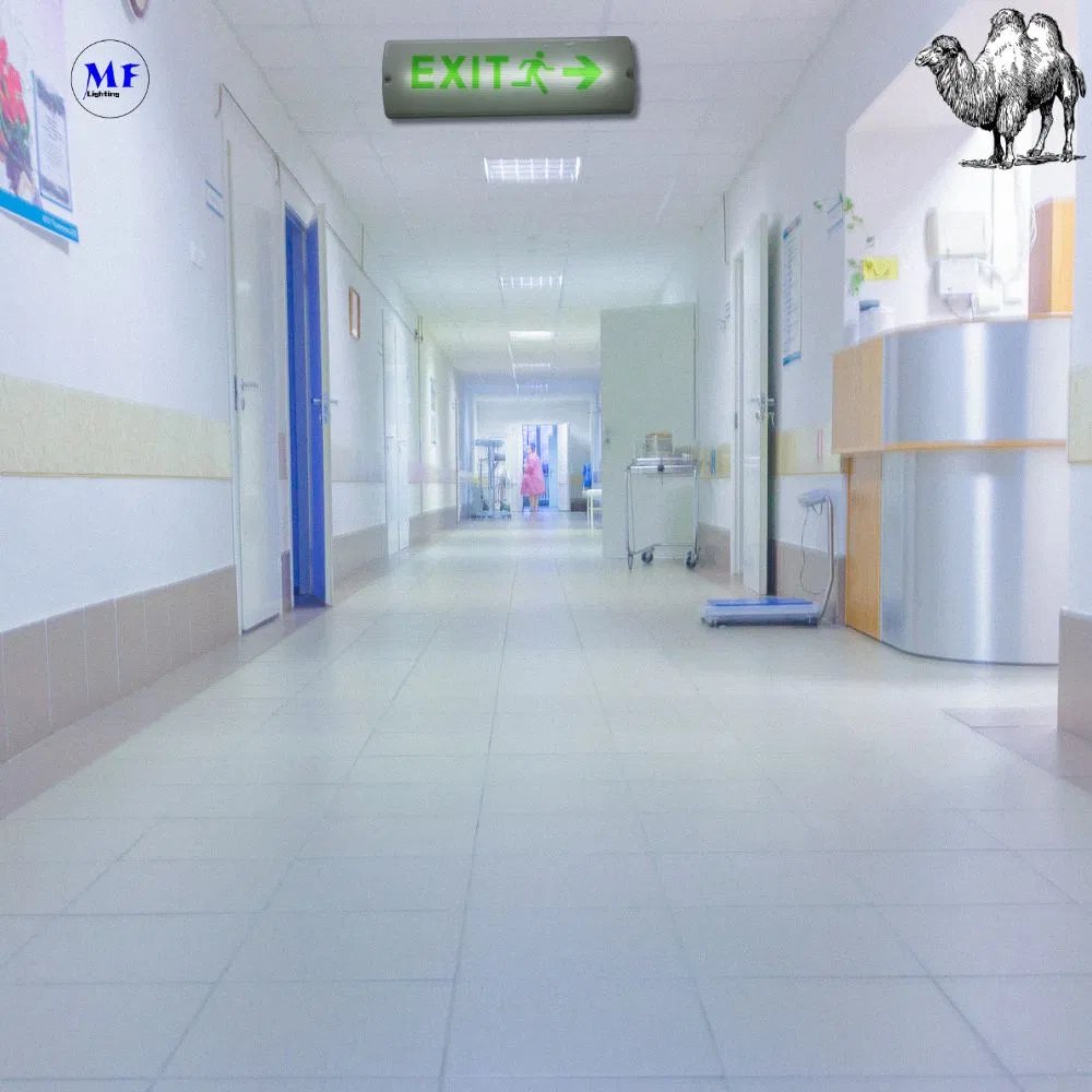 LED Safety Emergency Exit Sign Light With 8W IP65 Waterproof Lithium Battery Wall Mount ABS PC High Brightness 10