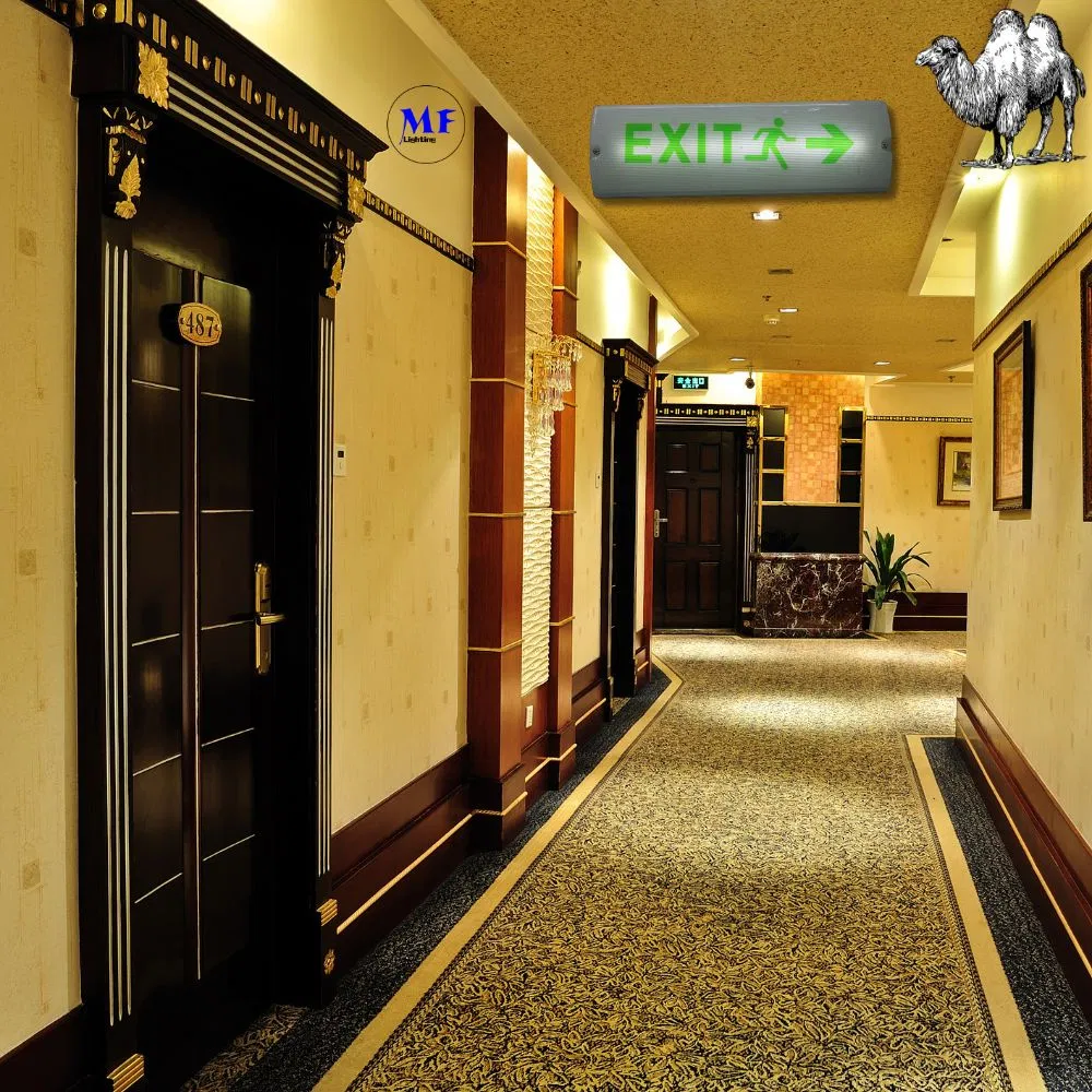 LED Safety Emergency Exit Sign Light With 8W IP65 Waterproof Lithium Battery Wall Mount ABS PC High Brightness 12