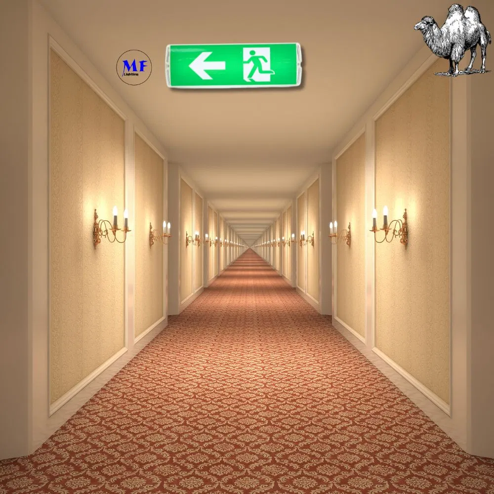 LED Safety Emergency Exit Sign Light With 8W IP65 Waterproof Lithium Battery Wall Mount ABS PC High Brightness 14