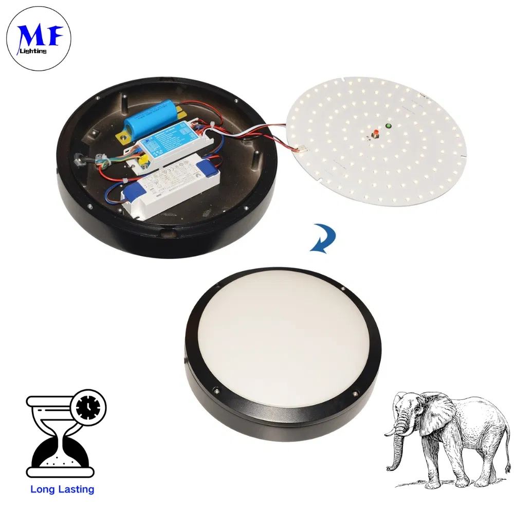 10W 100-277VAC UL924 CSA Li-ion Auto Test 5 Year Warranty Down Light Ceiling Light Panel Light Panic Light Ballast Powerpack for Emergency Case 8