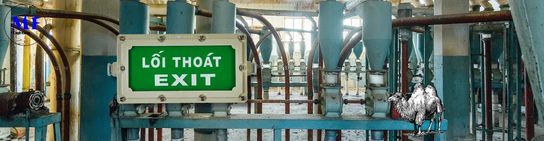 LED Emergency Escape Exit Sign Wall Mounted Light Ni-CD 4W IP65 Explosionproof Iron Hospital Airport Panic 10