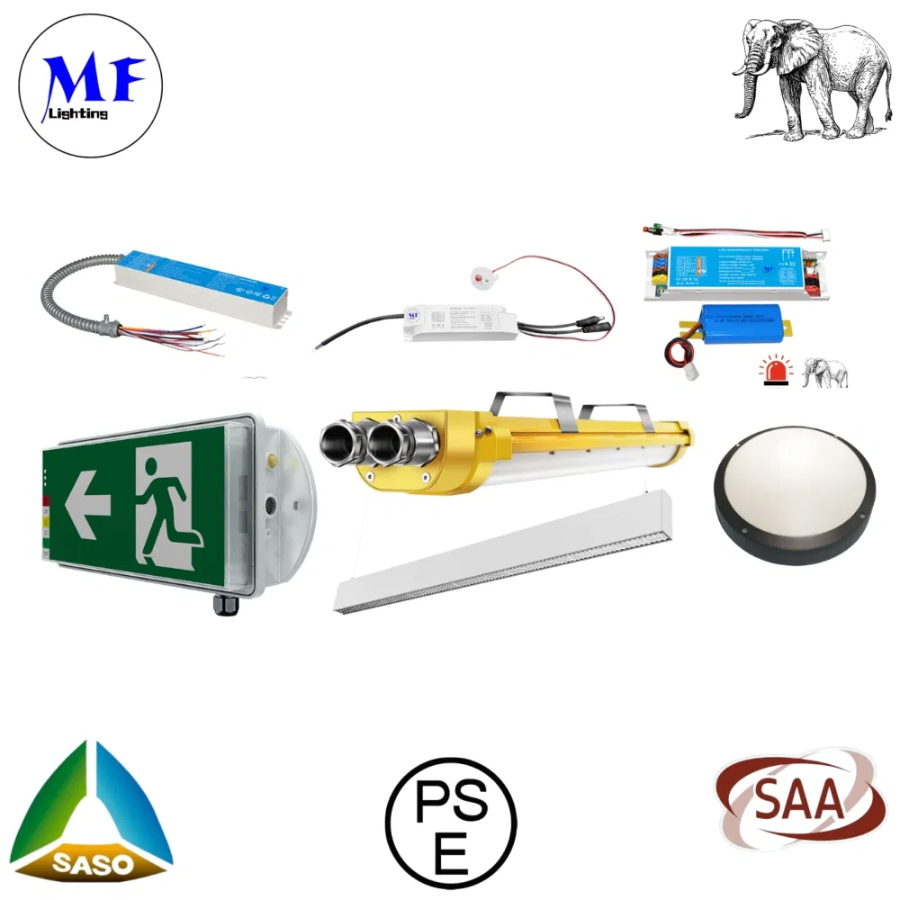 4W 6W 8W Li-FEP04 Battery LED Emergency Driver Panic Emergency Powerpack Backup Ballast Emergency Light Kit Panic Light Ballast 14