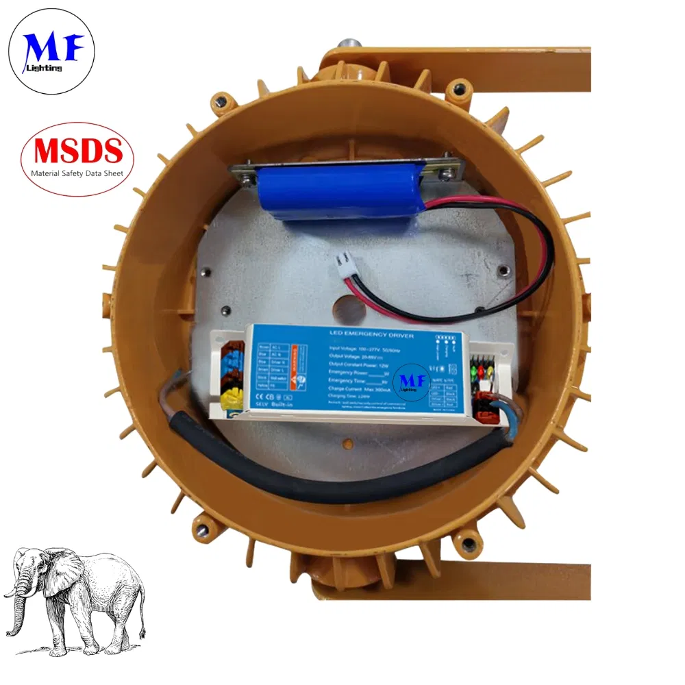 IP65 Ballast Power Supply Kit Emergency Light Driver LED Emergency Converter with 3 Years Warranty 3 Hours Discharge Time Li-FEP04 7