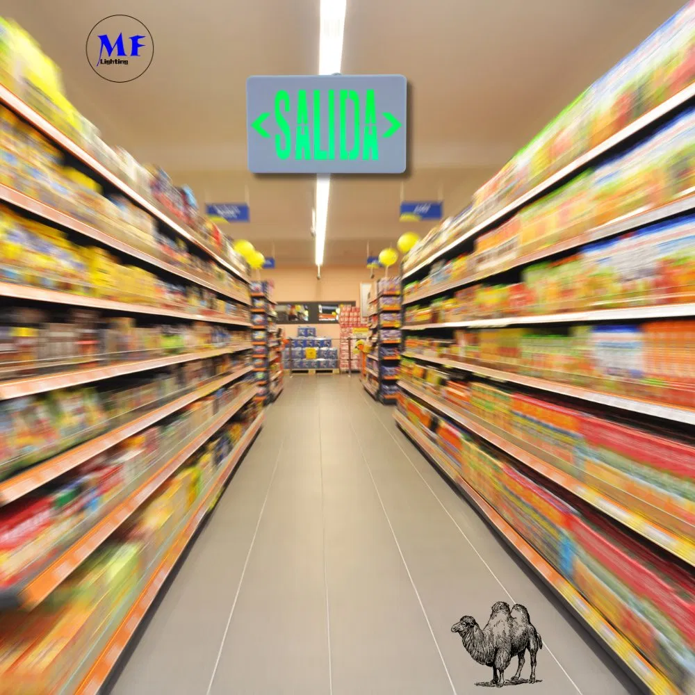 IP43 AC85-265V 3W LED Emergency Light for School Hospital Subway Train Stations Shopping Center Supermarket Airport Office Factories Hotels Baseme 12