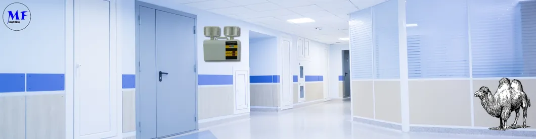 LED Double Heads Rechargeable Emergency Light For School Hotel Basement Public Place 5
