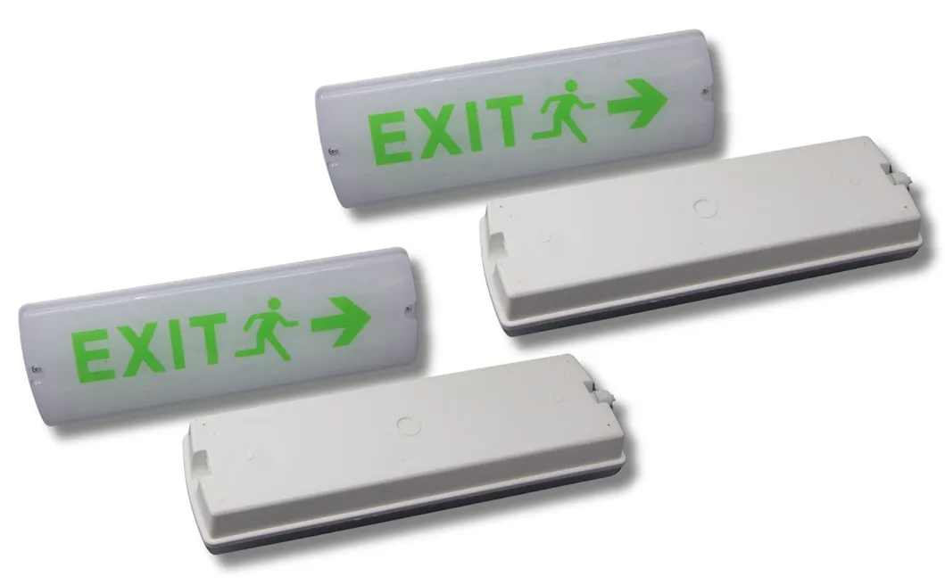 LED Exit Escpe Emergency Panic Light IP66 Hotel Green Shopping Mall Train Station School Supermarket 2