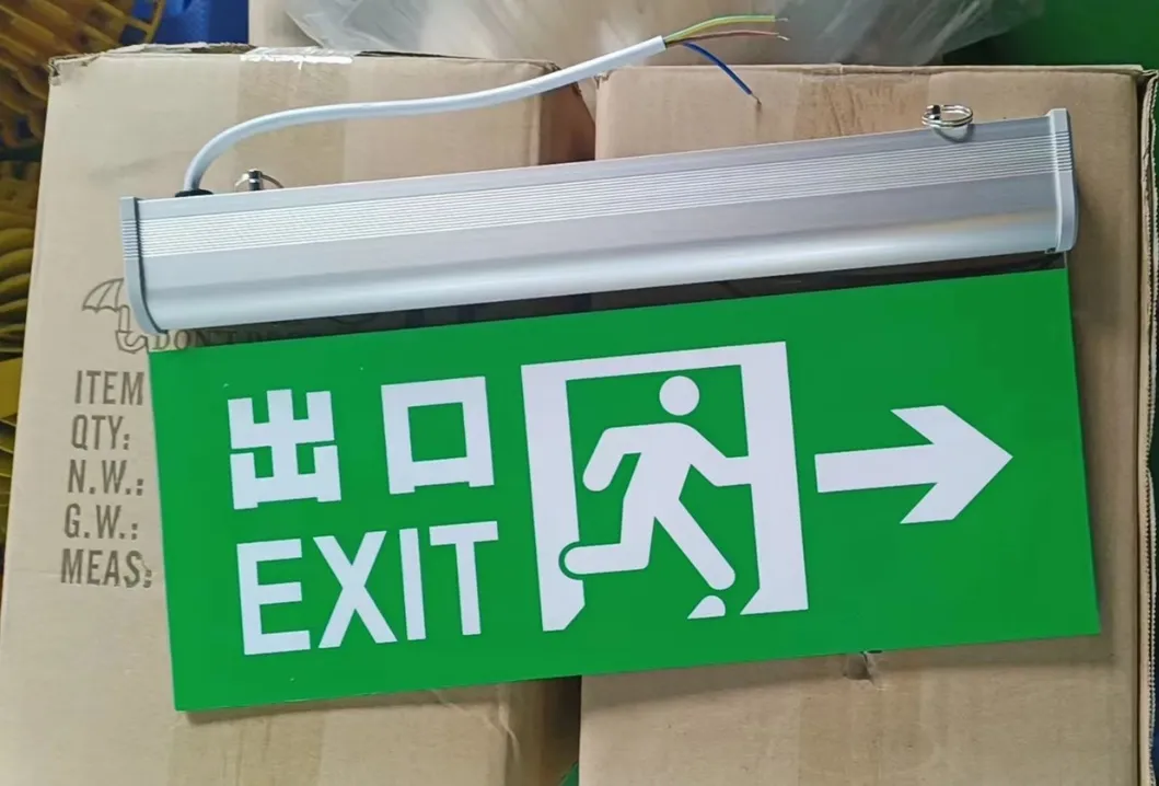 LED Exit Escpe Emergency Panic Light IP66 Hotel Green Shopping Mall Train Station School Supermarket 8