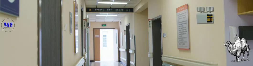 LED Escape Exite Emergency Panic Light for Public Area Moveable Design Double Head Silvery Train Station School 4