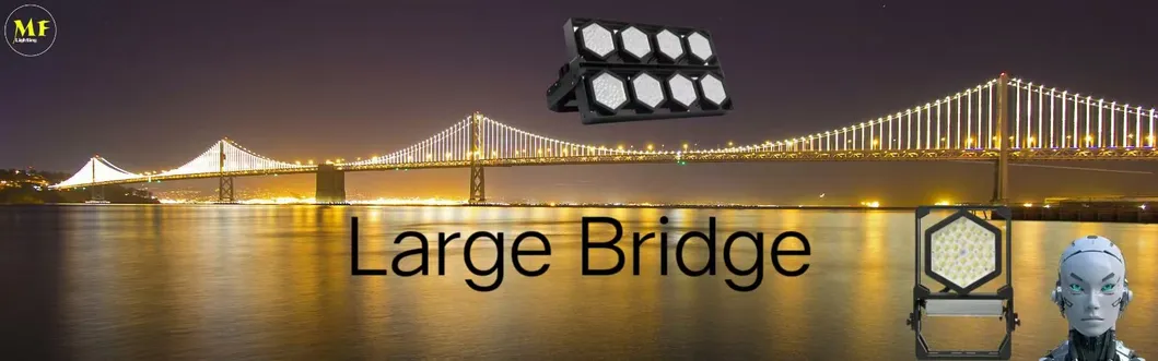 LED Sport Stadium Light Factory C4 High Driver 140lm/W IP67 Ik08 Waterproof Outdoor 10
