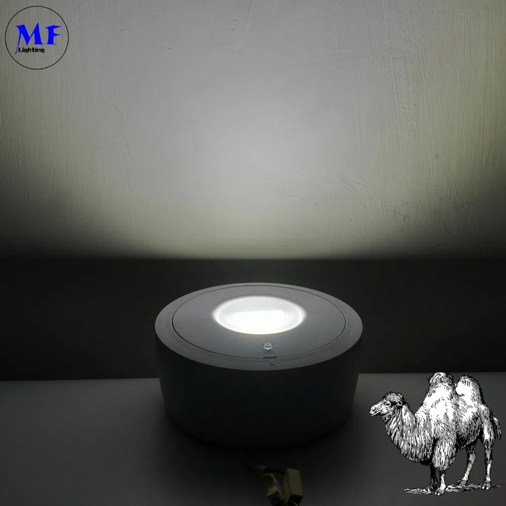 Panel Down Light LED Panic Emergency Escape Exit Sign Light IP65 Battery Backup Rechargeable Public School Hospital White 3