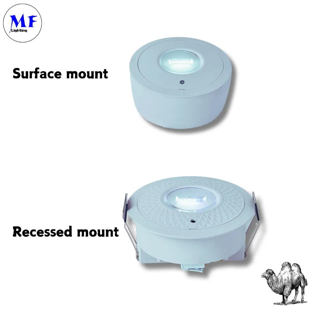 Panel Down Light LED Panic Emergency Escape Exit Sign Light IP65 Battery Backup Rechargeable Public School Hospital White 4