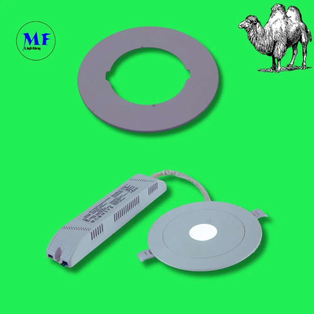 Down Light Panic Emergency Escape Exit Sign Light 3h IP65 Battery Shopping Workshop Mall 1