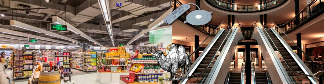Down Light Panic Emergency Escape Exit Sign Light 3h IP65 Battery Shopping Workshop Mall 12