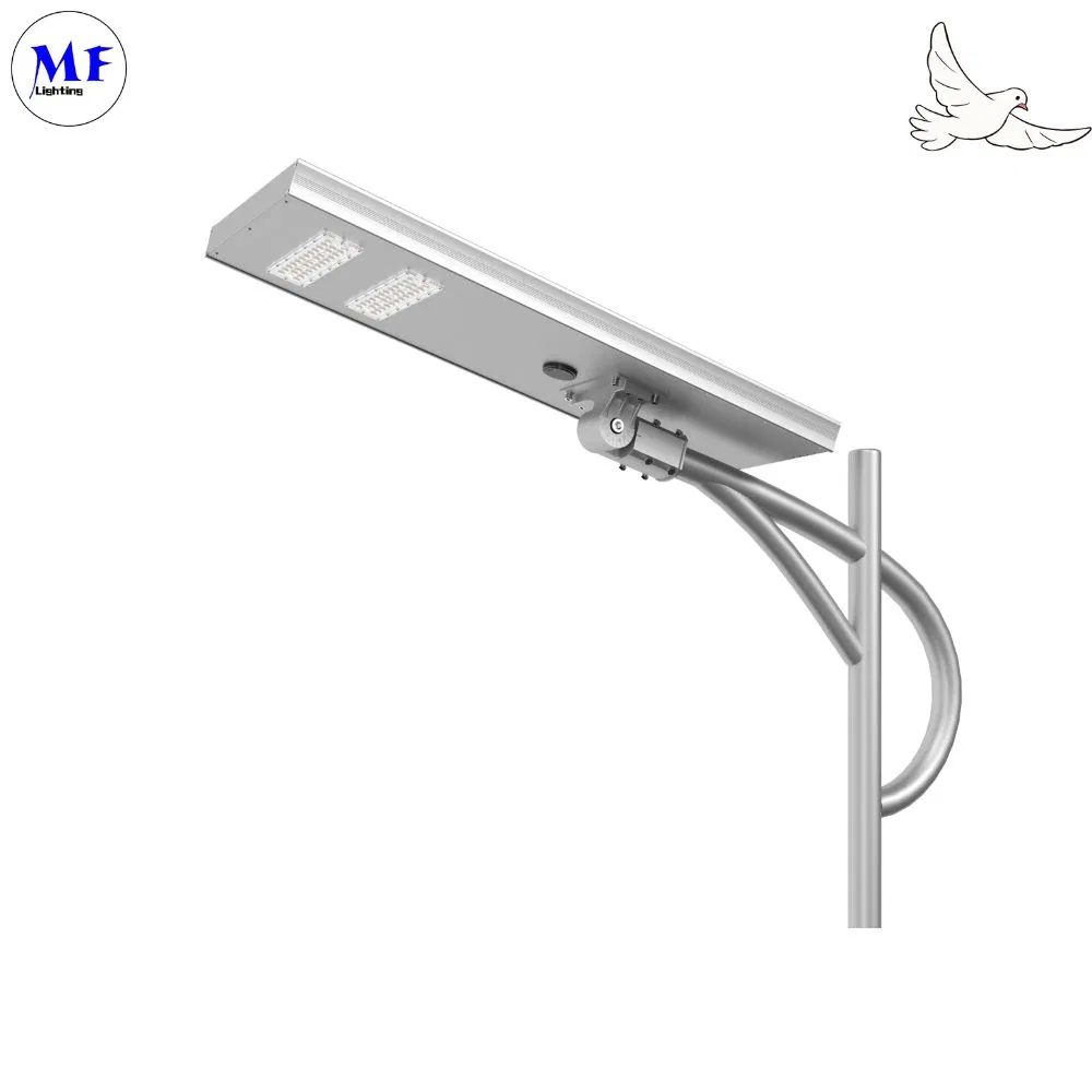 LED Solar Street Garden Light Motion Sensor White Silvery 120W 100W 80W Alu. IP66 Footway Villa Courtyard 0