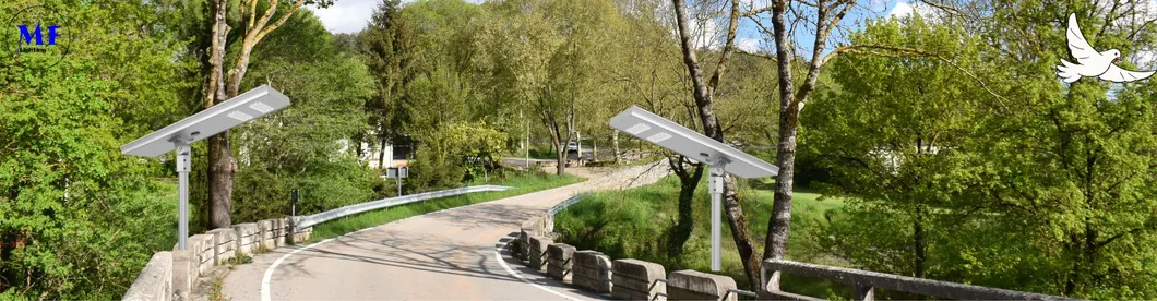 LED Solar Street Garden Light Motion Sensor White Silvery 120W 100W 80W Alu. IP66 Footway Villa Courtyard 5