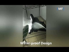 75W IP66 Wide Angles LED Flood Light 9200LM For Outdoors