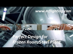 600mm LED Tri Proof Fixture 25W With Tempered Glass Diffuser