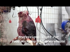 1200mm IP68 Waterproof Tri Proof LED Light Chain Bracket Mounted