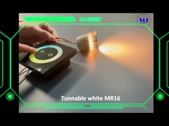MR16 Module Tunable white