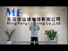 Ming Feng Lighting CO.,LTD