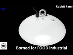 LED High Bay Lighting