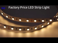 RGB RGBW IP20 IP65 IP68 7.2W-28.8W LED 5050 Strip Light