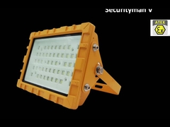 IP66 IP67 LED Explosion Proof Street Light With Dustproof EX IECEX IK10 30W 50W 60W 80W 100W