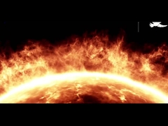 MF Solar Street Light Pigeon 2