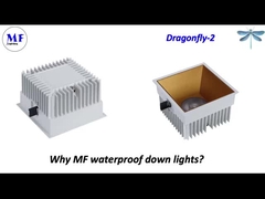 MF Down Light Dragonfly-2