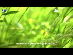 MF Solar Street light Pigeon 3 video