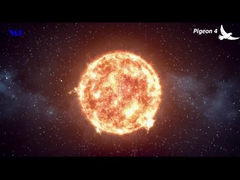 MF Solar Street light Pigeon 4 video