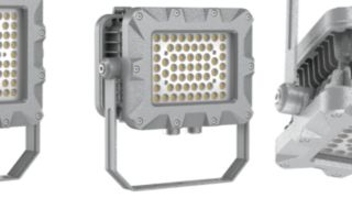 MF Goat-1 Family  Atex light video MIC9.9