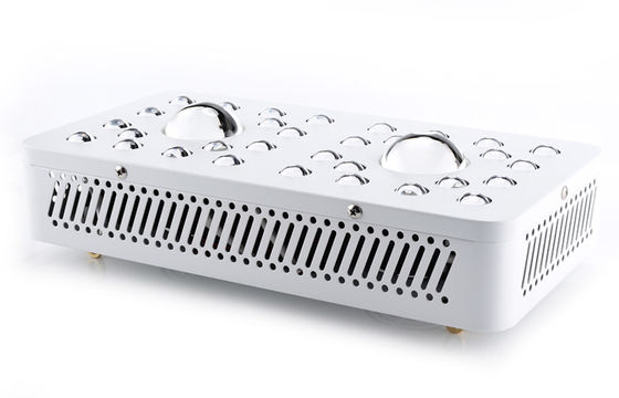 205W Full Spectrum LED Grow Lightst Replace HPS Directly ,  Larger Yield Indoor Plant Lights