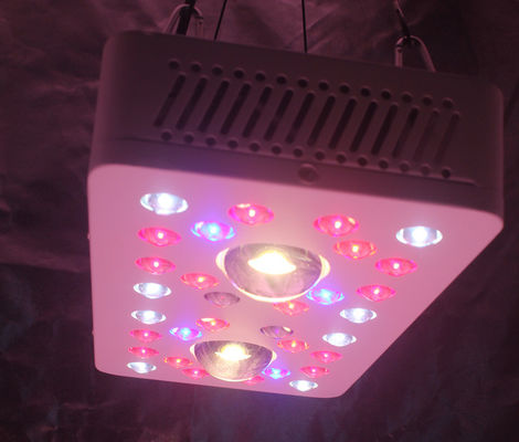 LED Grow Lighs 205W