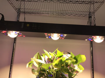 Dimmable COB LED Grow Light