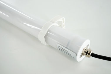 IP66 LED Tri - Proof Lights 60cm 90cm 120cm 150cm 12W - 80W With CE SAA CB Approval