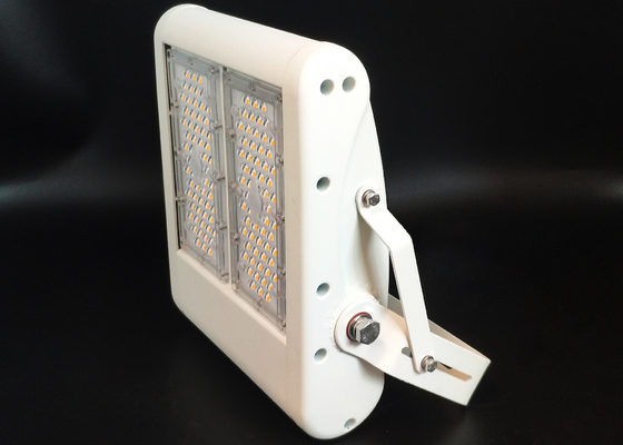 White Housing IP67 LED Flood Light Industrial 100W High Power Tunnel Light