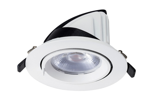 IP20 30W LED Scoop Down Lights With 2700K- 5000K Dimmable LED Down Lights