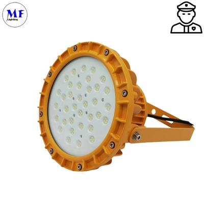 Atex Industrial Workshop 60W/80W IP66 Special Chemical Plant Lighting Waterproof LED Explosion Proof Light