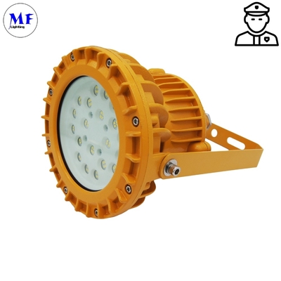 Atex Industrial Workshop 60W/80W IP66 Special Chemical Plant Lighting Waterproof LED Explosion Proof Light