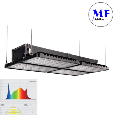 Increase Production By 20% High Efficiency LED Grow Light IP66 IK08 Waterproof 540W  For Vertical Hydroponic Farming